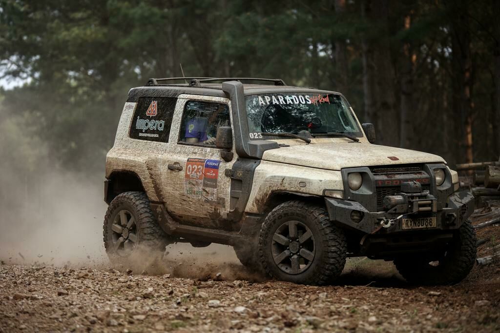 Imagem placeholderArtigo 2